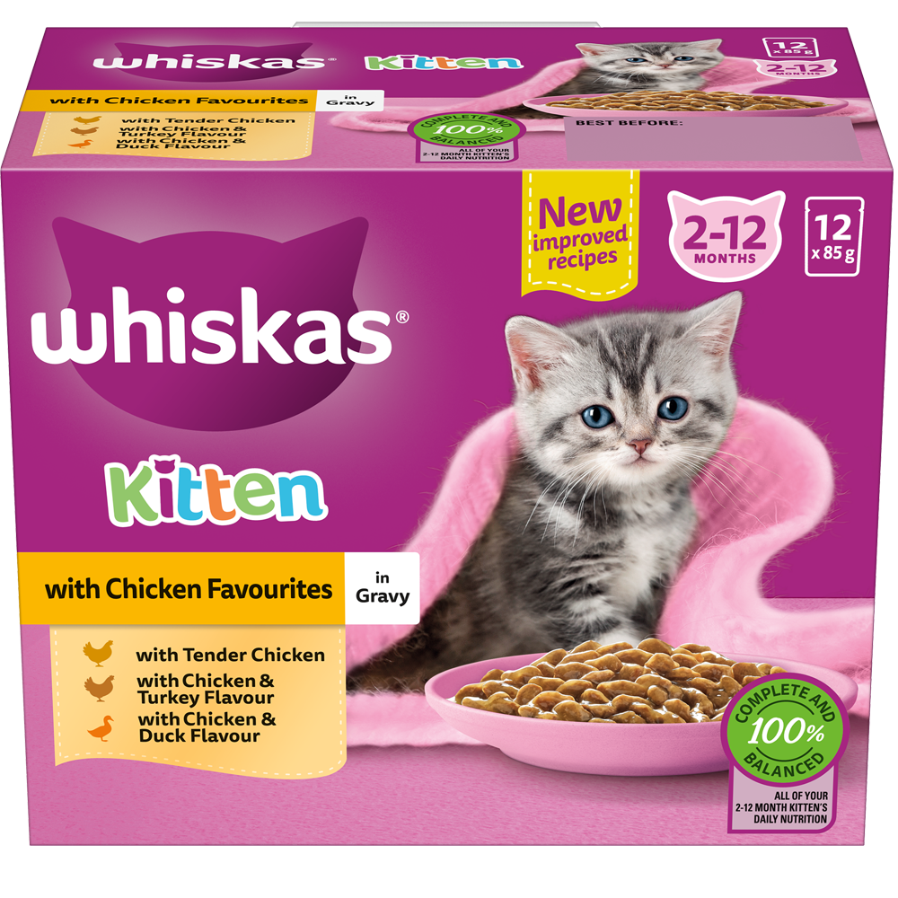 Can i give kitten food to my cat top